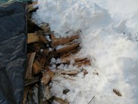 IMG_20190308_171350646.jpg
