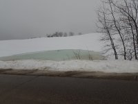 20190313_073816.jpg