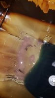 20160312_161355.jpg