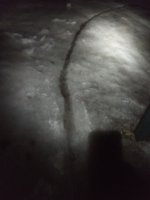 IMG_20190313_205552626.jpg