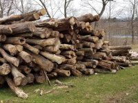 20180412_104936.jpg