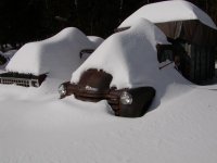Snow3.JPG