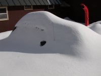 Snow4.JPG