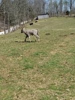 20190315_141042.jpg