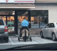 DB435EE2-F809-40DB-A68D-5A47927E2CF1.gif