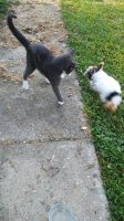 20180714_075906.jpg