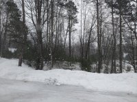 IMG_20190320_100521987.jpg