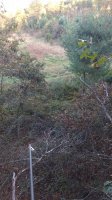 IMG_20170930_180107110.jpg
