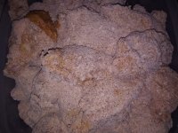 IMG_20190321_175239.jpg