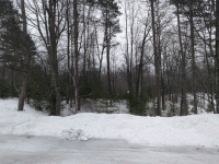20190321_050237-ANIMATION.gif