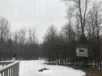 979FA1A8-3589-4CC3-AB47-0DD0DD07D0BD.jpeg