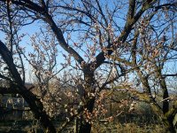 DSC00409.JPG