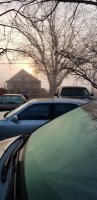 20190326_074537.jpg