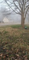 20190326_074557.jpg