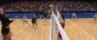 tenor.gif