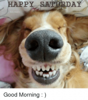 happy-saturday-good-morning-25406181.png