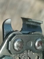 20190401_171130.jpg