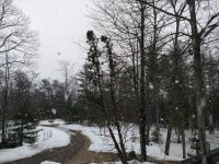 IMG_20190402_170142778.jpg