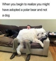CA0C9B7A-8F65-4EBC-9CFA-9B03C5A5F640.jpeg