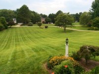 lawn.jpg