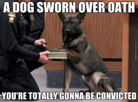 nothing-is-truer-than-a-dog-amp-039-s-bark-growl-stare-and-intuition_o_3235231.jpg