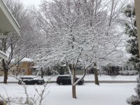IMG_3199.JPG