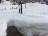 C446E816-021C-46BA-BE26-5D469C1B4D4C.gif