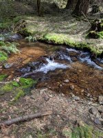 IMG_20190419_141859.jpg