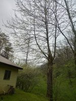 20190421_155446_HDR.jpg