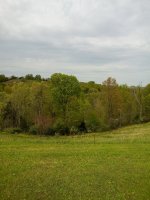 20190424_150432.jpg