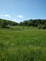 20190427_114808.jpg