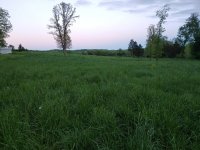 20190501_195616.jpg
