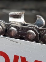 20190503_145912.jpg