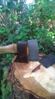 WP_20160403_002.jpg