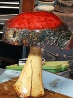 redcapped 1.jpg