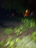 20190507_053815.jpg