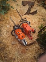 IMG_20190517_124656.jpg