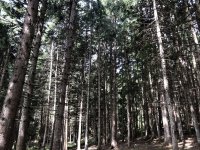 041099CA-451E-41C1-9ACE-7793DC9A7CE1.jpeg