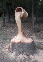 bucket-water-tree-stump-Chainsaw-art.jpg