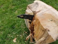 20190603_160932.jpg
