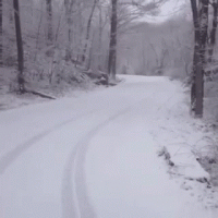 1CB1D24F-794A-46F0-9367-4F69C4AA4A2D.gif