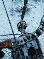 20181109_064616.jpg