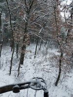 20181109_064632.jpg