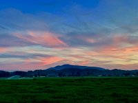 197E5716-3F93-4F87-95BB-FEA86EB47402.jpeg