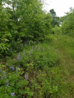 20190615_123544.jpg