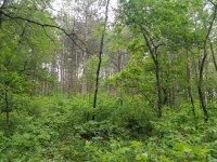 20190615_121348.jpg