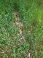 20190615_121059.jpg