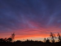 IMG_20190613_205226.jpg