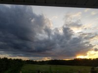 20190619_202722.jpg