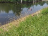 20190622_153546.jpg